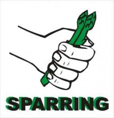 Sparring2.jpg, 17 KB